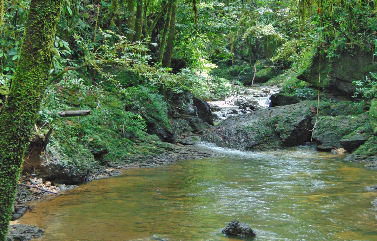 A tributary of the Borin River in the Traditional Forest of the Baho Clan of the Aifat Tribe