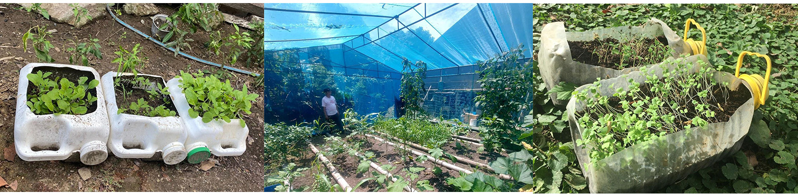 Communal garden of Brgy. Uno participants; Greenhouse and organic farming explorations by Dan and Nora of Brgy. Balitoc. (MAHALINA FOUNDATION)