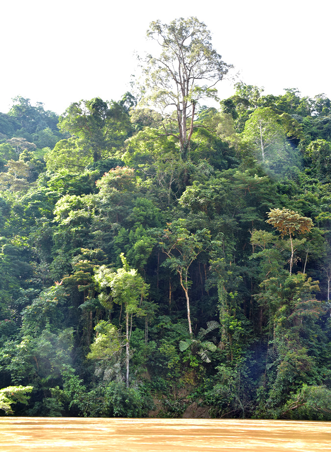 Energy transition projects must balance economic growth with environmental protection
