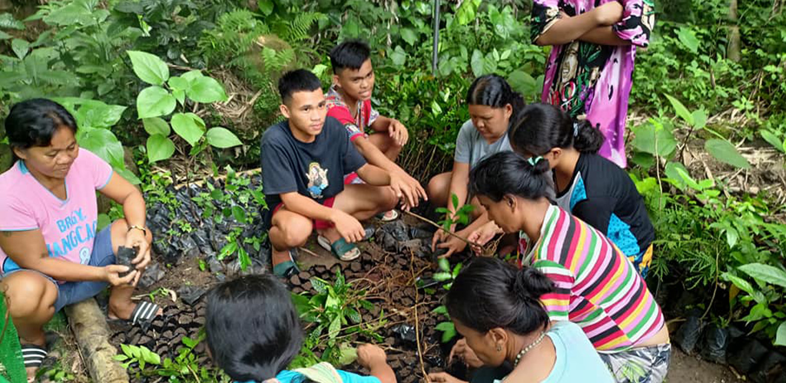 The Higaonon youth groups started collecting wildlings in 2022. Now they have gathered around 800 seedlings