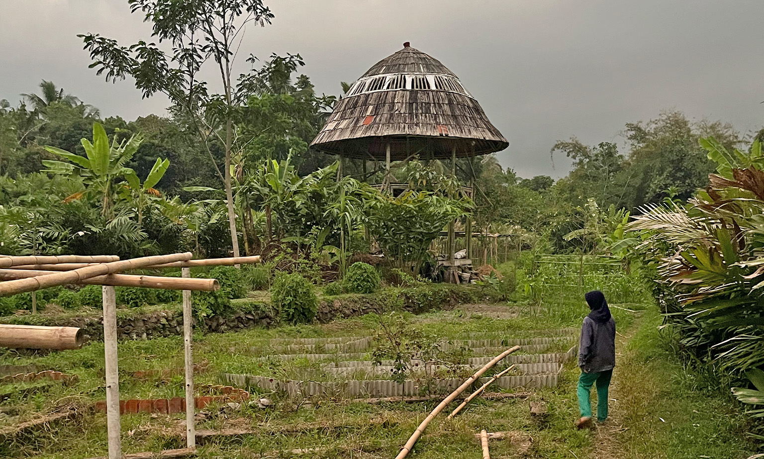 Kebun Berdaya develop urban farming initiatives to increase the food security of urban communities by utilizing limited land in urban areas