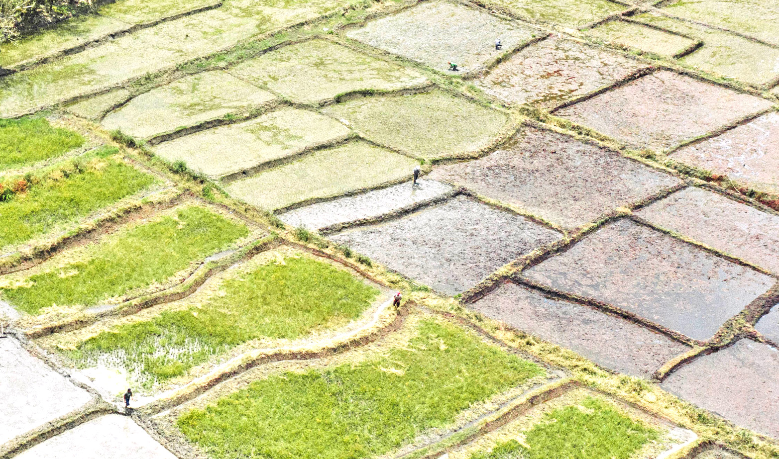 blog image