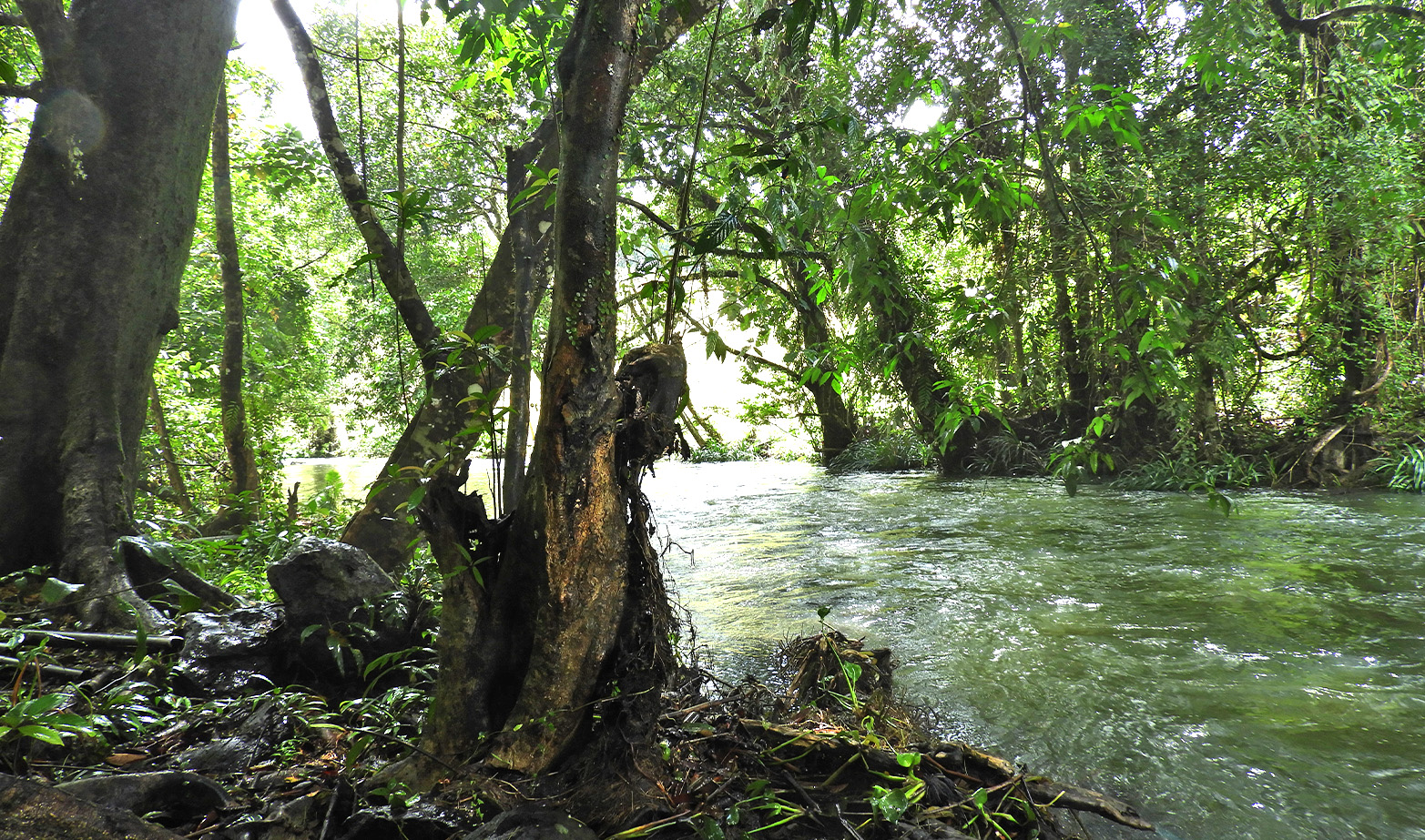blog image